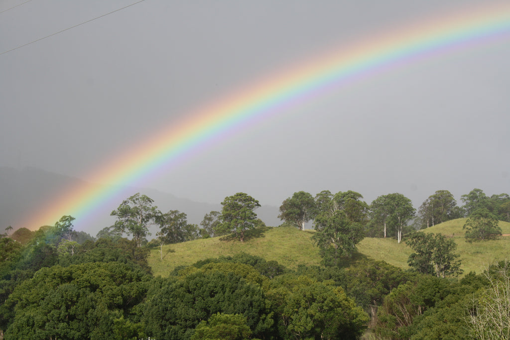 Summer Hill Kids - We are here for you.