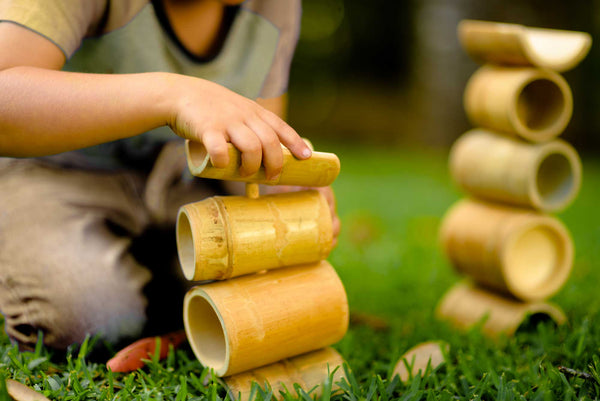 Bamboo Construct and Roll Set
